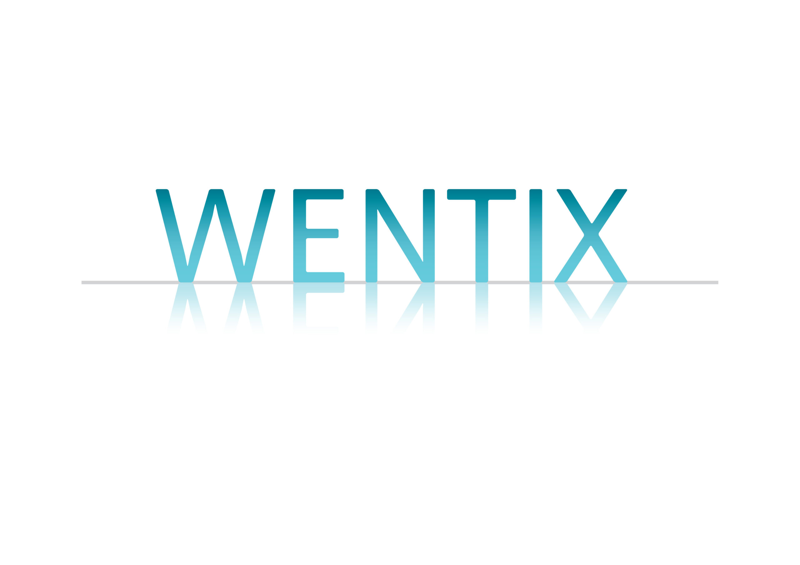 WENTX_logo-01